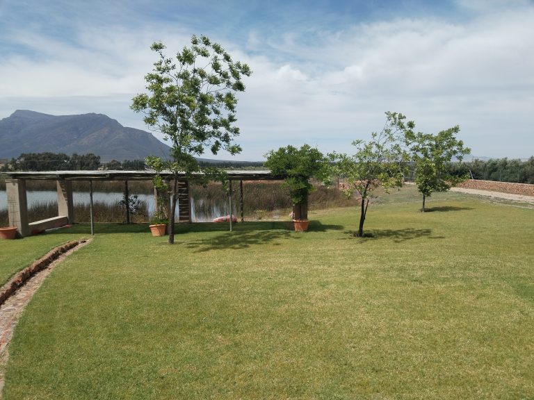 Home img 20241108 110730