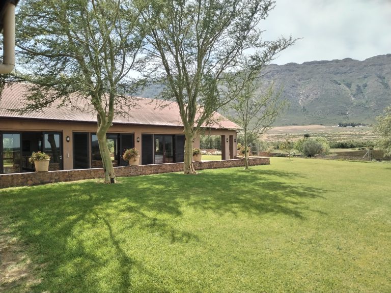 Home img 20241108 110741